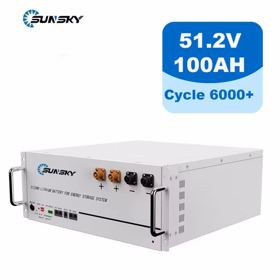 2023 New Stacked 51.2V Batterie Lithium 48V 10kwh Brick Low / High Voltage LiFePO4 Battery for Energy Storage System