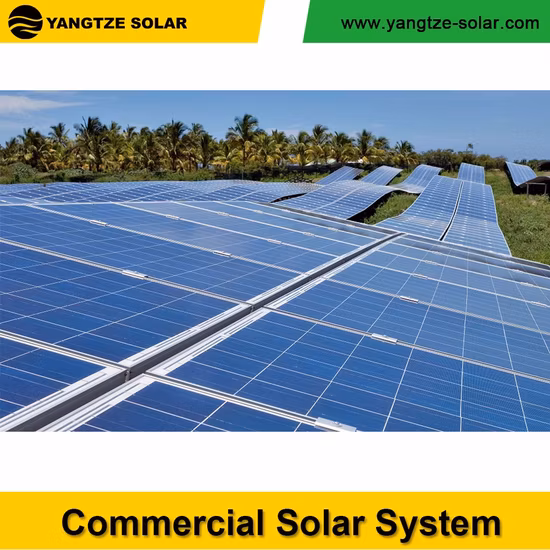 Yangtze Hefei 1MW PV 태양광 패널 전력 시스템 제조업체(태양광 그리드 인버터 포함)