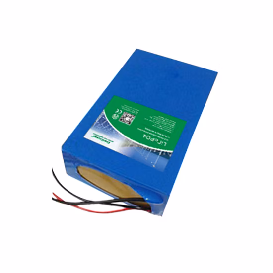 OEM 100ah 가로등 12V 50ah 리튬 은행 패널 에너지 저장 태양 전지